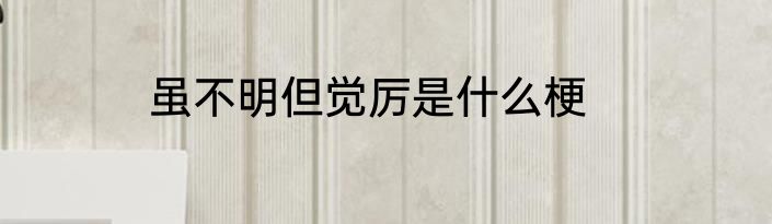 虽不明但觉厉是什么梗