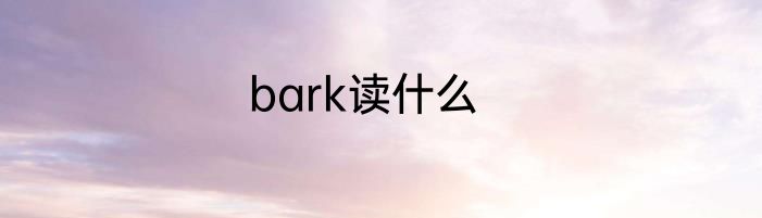 bark读什么