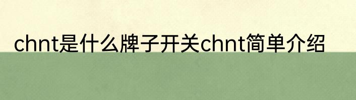 chnt是什么牌子开关chnt简单介绍