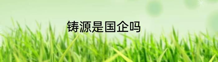 铸源是国企吗