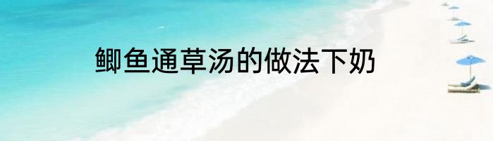 鲫鱼通草汤的做法下奶