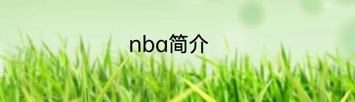 nba简介