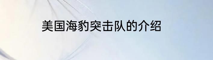 美国海豹突击队的介绍