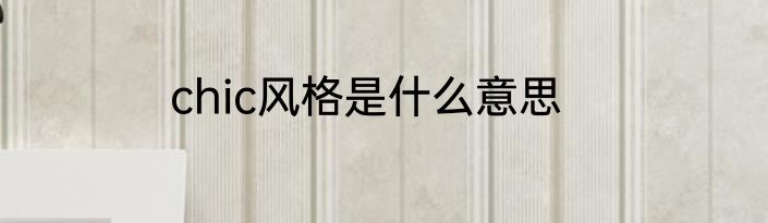 chic风格是什么意思