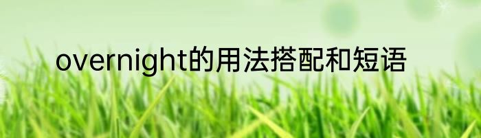 overnight的用法搭配和短语