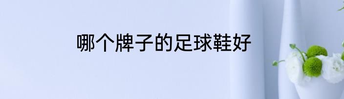哪个牌子的足球鞋好