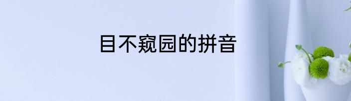 目不窥园的拼音