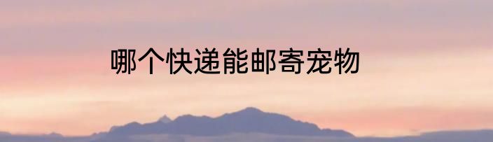 哪个快递能邮寄宠物