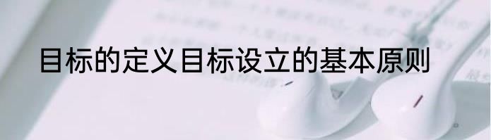 目标的定义目标设立的基本原则