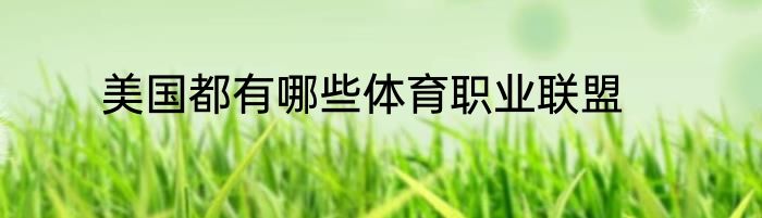 美国都有哪些体育职业联盟