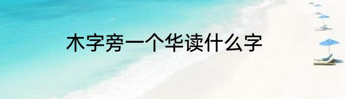 木字旁一个华读什么字