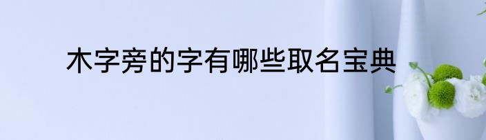 木字旁的字有哪些取名宝典