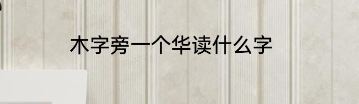木字旁一个华读什么字