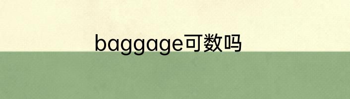 baggage可数吗