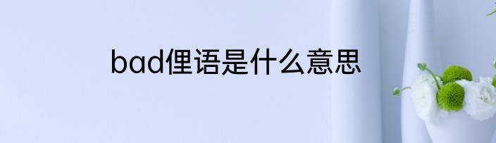 bad俚语是什么意思