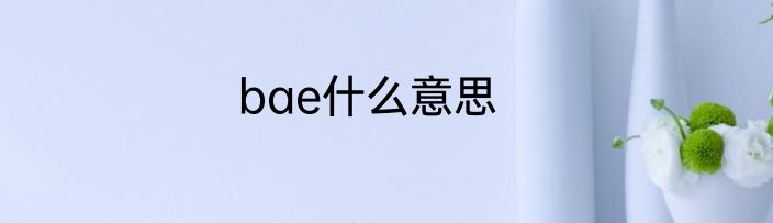 bae什么意思