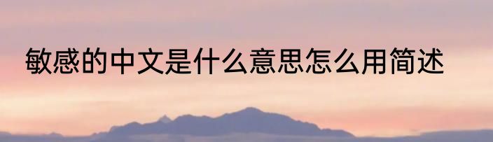 敏感的中文是什么意思怎么用简述