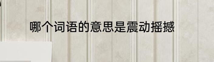 哪个词语的意思是震动摇撼