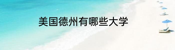 美国德州有哪些大学