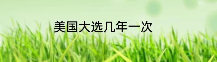 美国大选几年一次