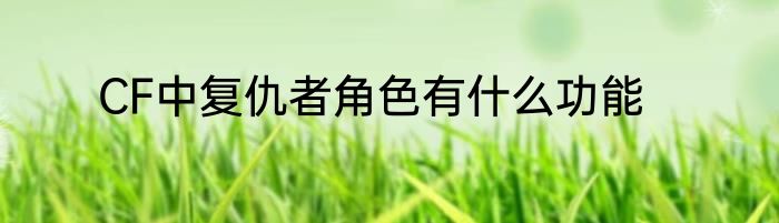CF中复仇者角色有什么功能