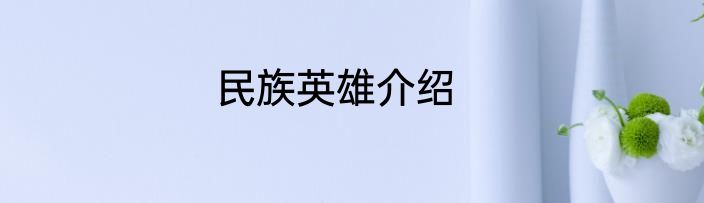 民族英雄介绍