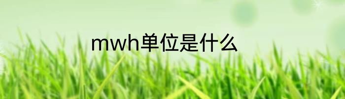 mwh单位是什么