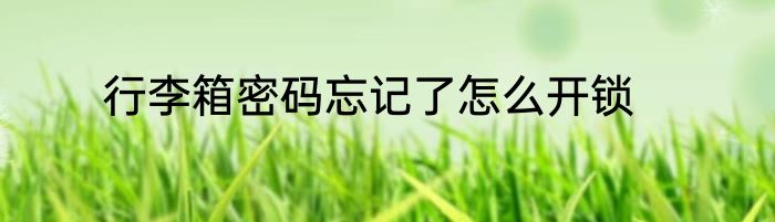 行李箱密码忘记了怎么开锁
