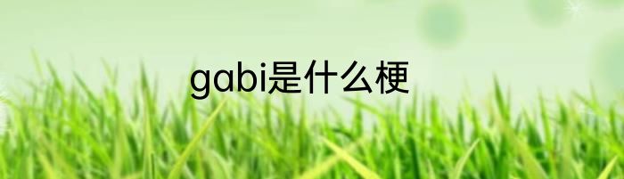 gabi是什么梗