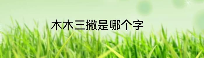 木木三撇是哪个字