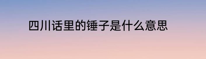 四川话里的锤子是什么意思