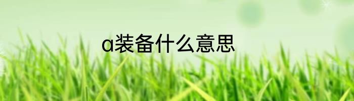 a装备什么意思