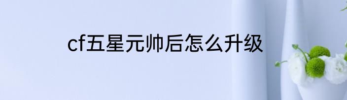 cf五星元帅后怎么升级