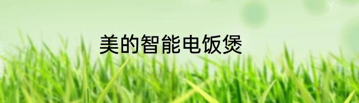 美的智能电饭煲