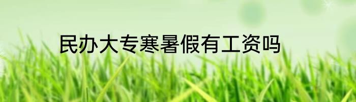 民办大专寒暑假有工资吗
