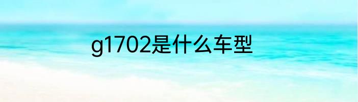 g1702是什么车型