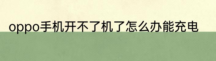 oppo手机开不了机了怎么办能充电