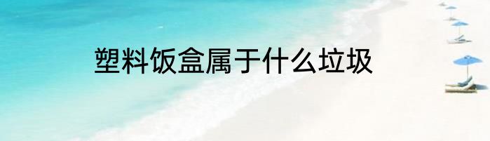 塑料饭盒属于什么垃圾