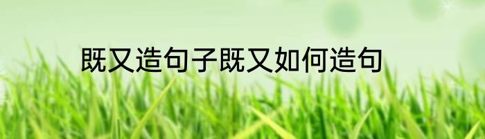既又造句子既又如何造句