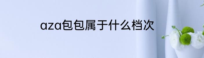 aza包包属于什么档次