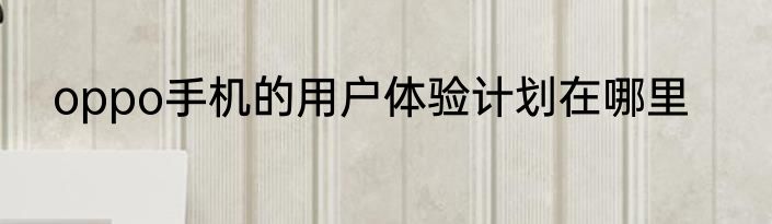oppo手机的用户体验计划在哪里