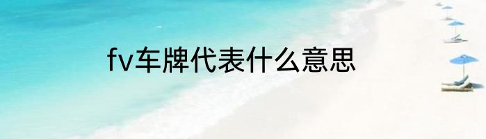 fv车牌代表什么意思