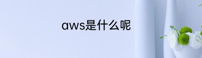 aws是什么呢