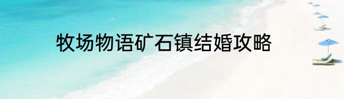 牧场物语矿石镇结婚攻略