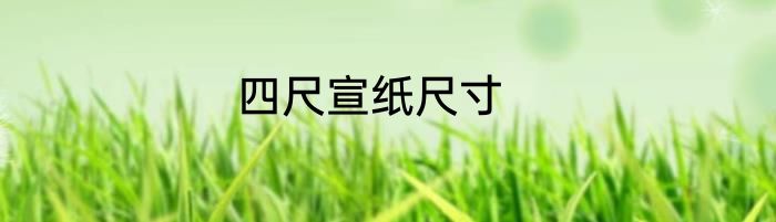 四尺宣纸尺寸