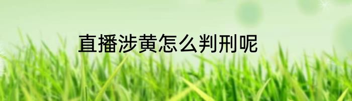 直播涉黄怎么判刑呢