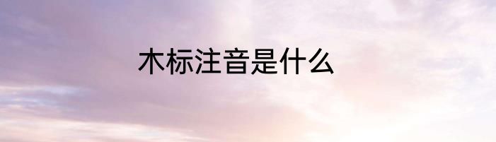 木标注音是什么