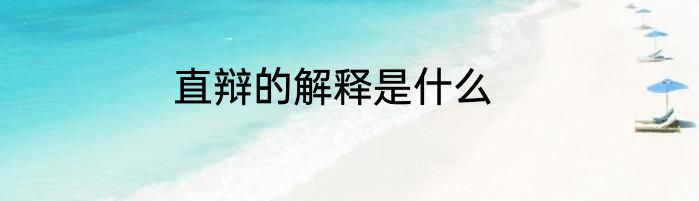 直辩的解释是什么
