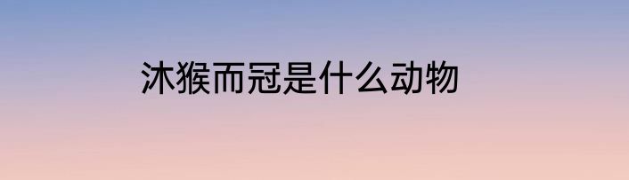 沐猴而冠是什么动物