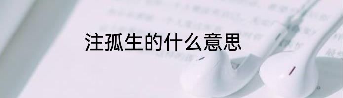 注孤生的什么意思